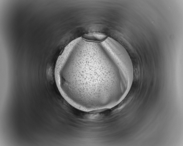 X0000095940575200802011044