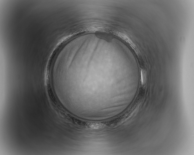 X0000095940579200802011043