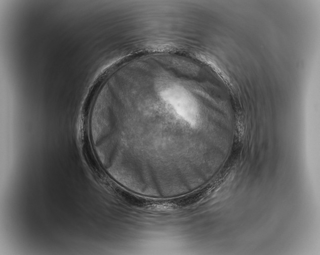 X0000095940583200802011043