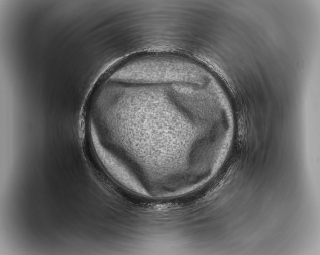 X0000095940584200802011043