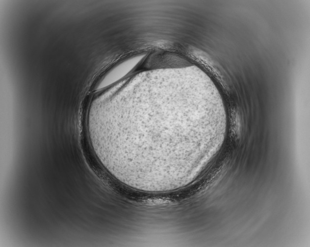 X0000095940586200802011043