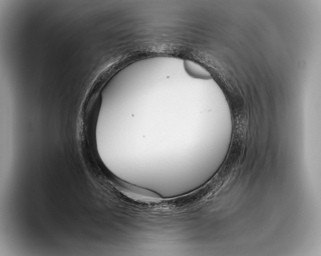 X0000095940587200802011043