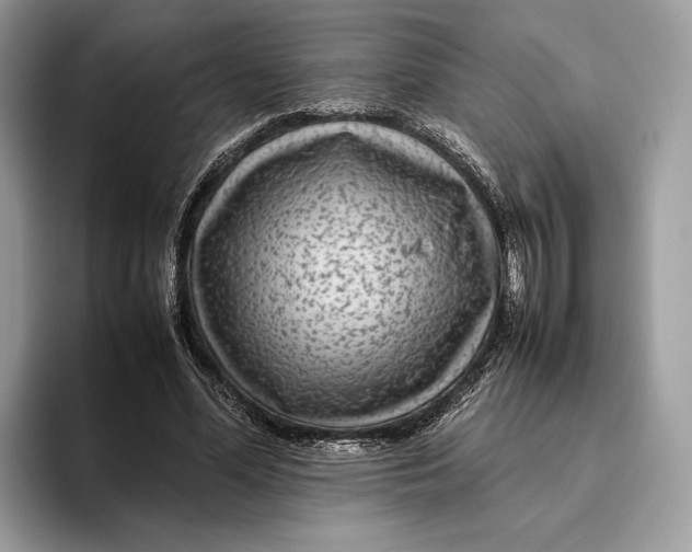 X0000095940588200802011043