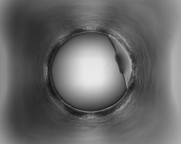 X0000095940589200802011043