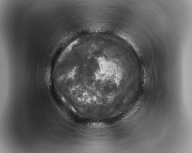 X0000095940590200802011043