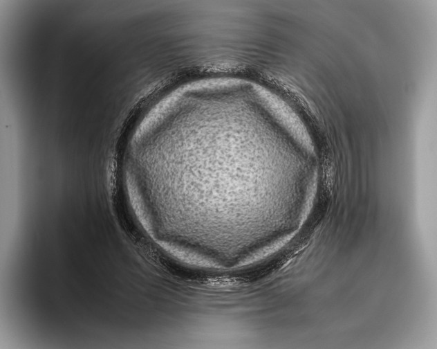 X0000095940591200802011043