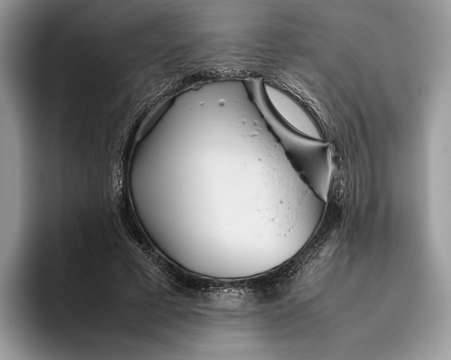 X0000095940593200802011043