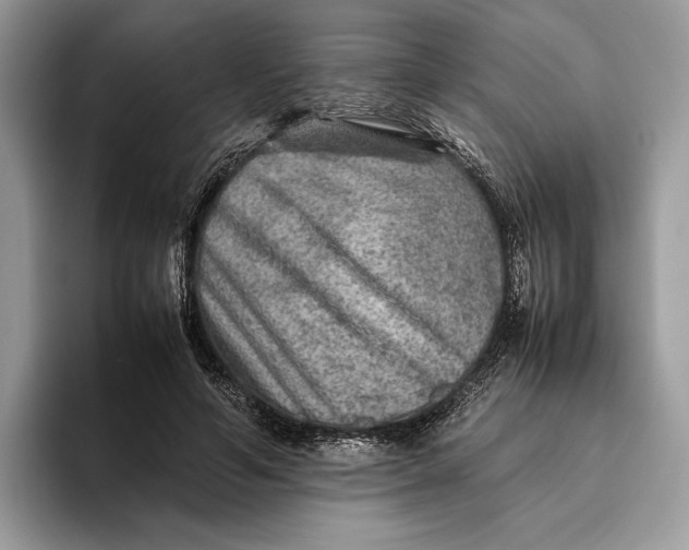 X0000095940594200802011043