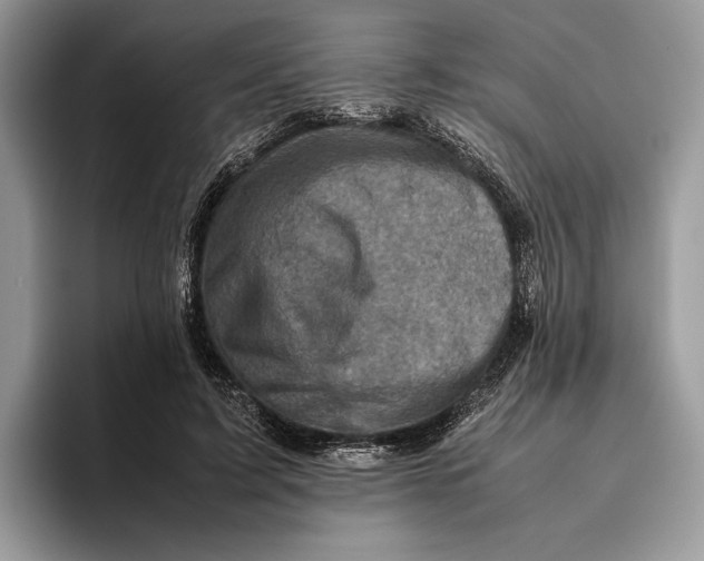 X0000095940595200802011043