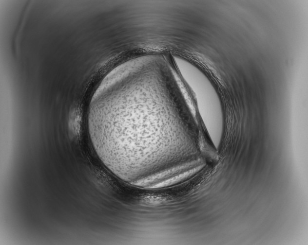 X0000095940596200802011043