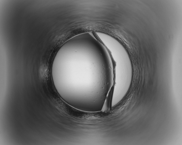 X0000095940597200802011043