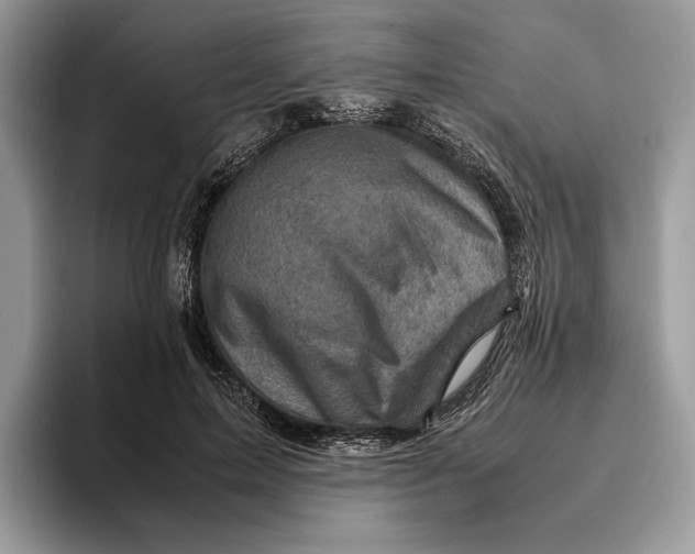 X0000095940599200802011043