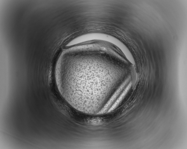 X0000095940600200802011043