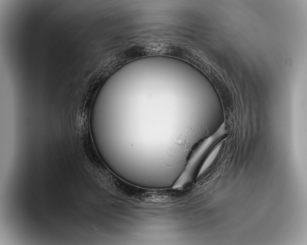 X0000095940601200802011043