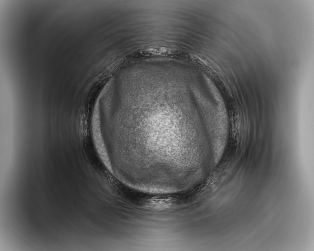 X0000095940606200802011043