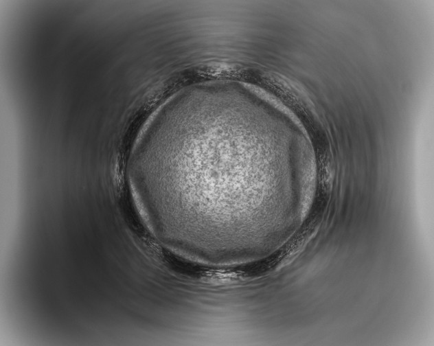 X0000095940607200802011043