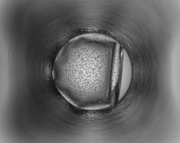 X0000095940608200802011043