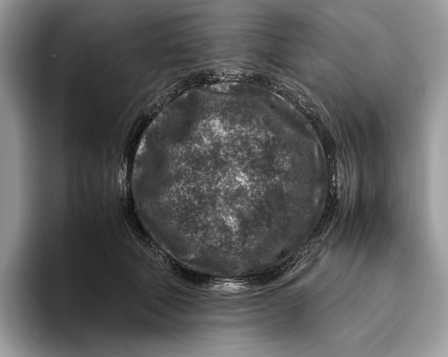 X0000095940610200802011043