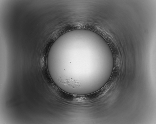 X0000095940611200802011043