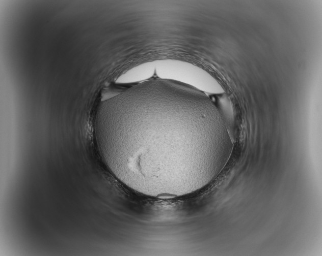 X0000095940613200802011043