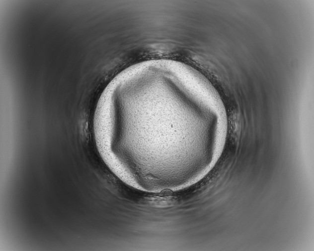 X0000095940615200802011043