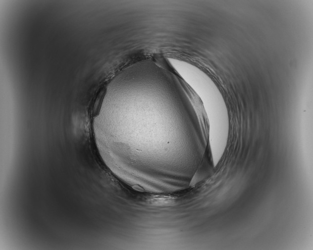 X0000095940617200802011043