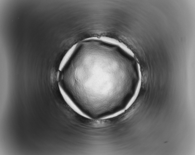 X0000095940623200802011043