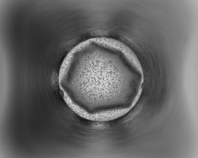 X0000095940624200802011043