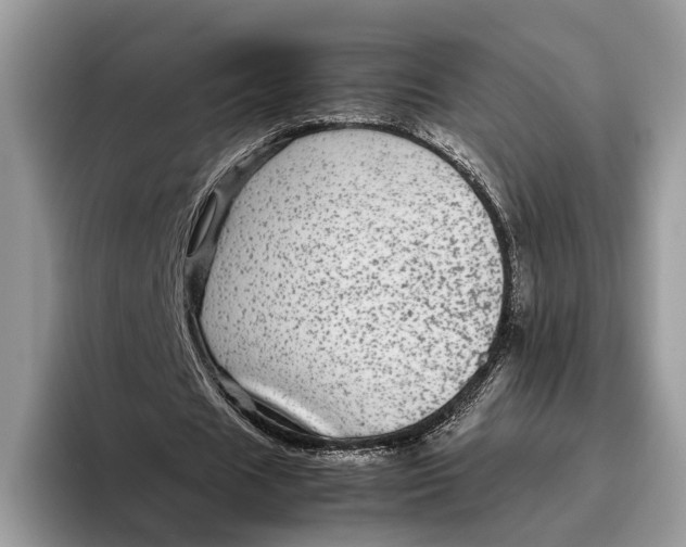 X0000095940625200802011042