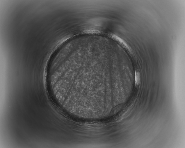 X0000095940627200802011042