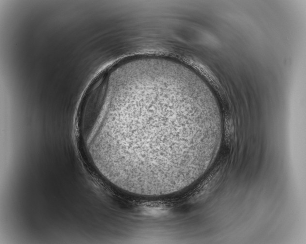 X0000095940628200802011042