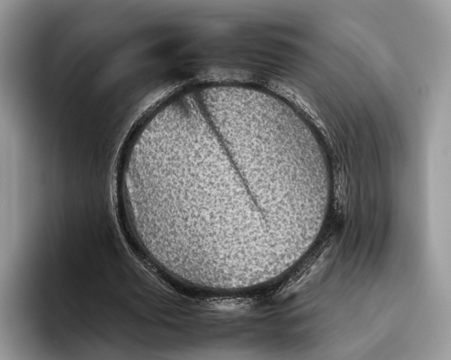 X0000095940629200802011042