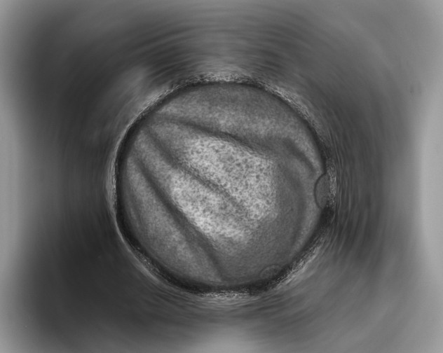 X0000095940630200802011042