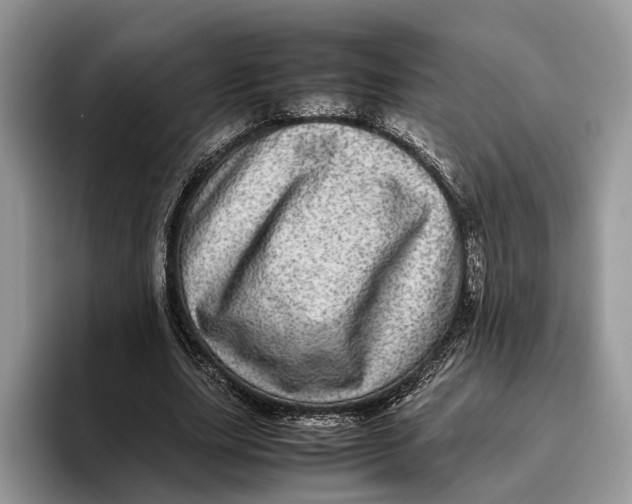 X0000095940631200802011042