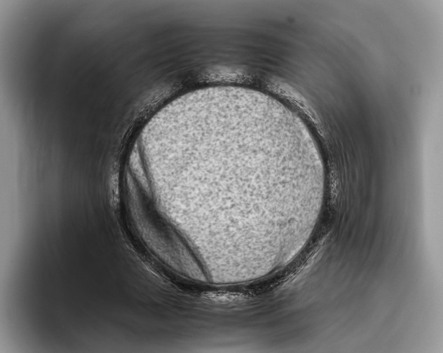 X0000095940633200802011042