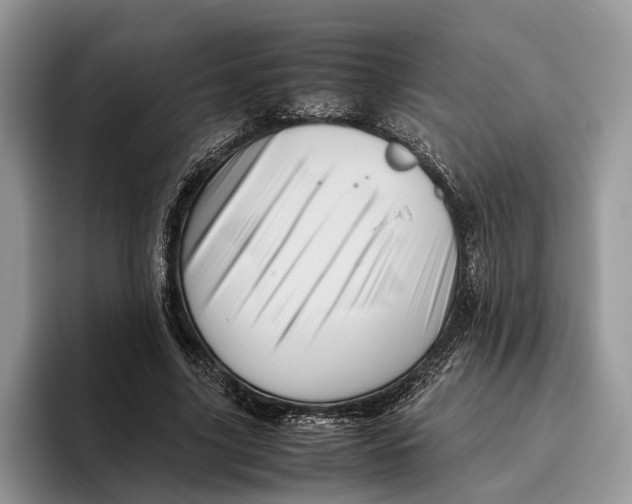 X0000095940635200802011042