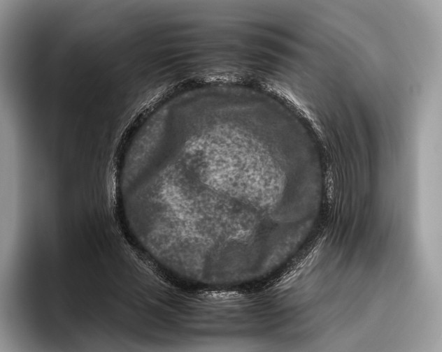 X0000095940637200802011042