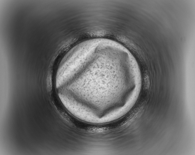 X0000095940638200802011042