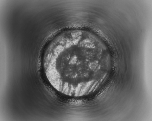 X0000095940640200802011042