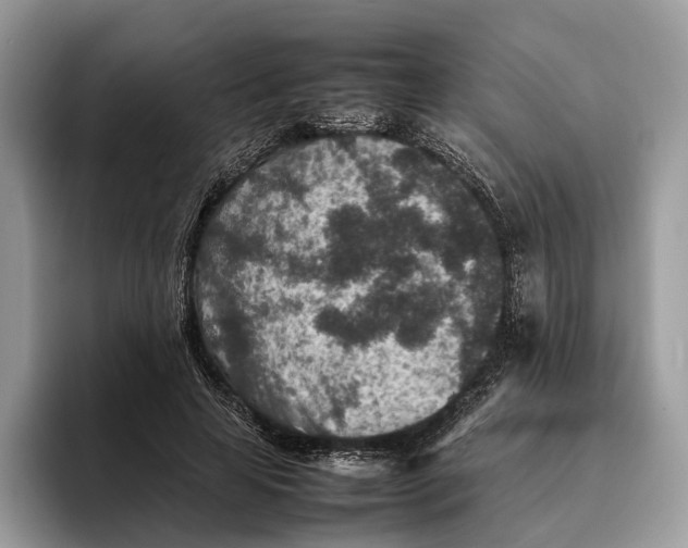 X0000095940641200802011042