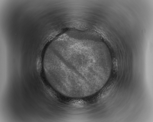 X0000095940642200802011042