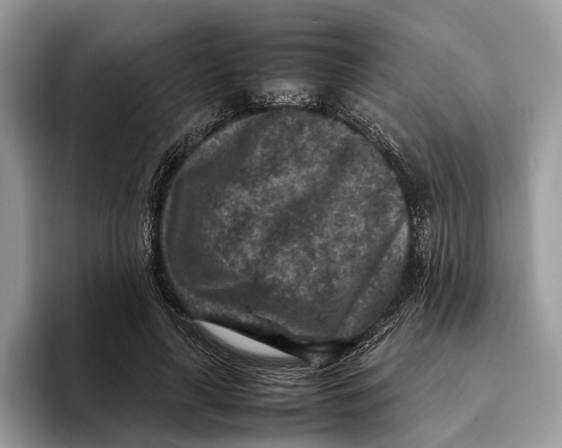 X0000095940643200802011042