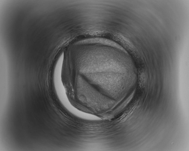 X0000095940644200802011042