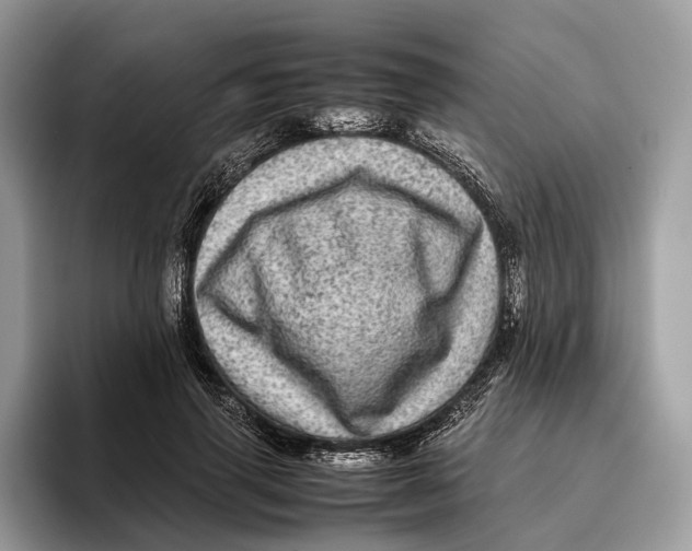 X0000095940645200802011042