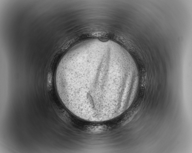 X0000095940646200802011042