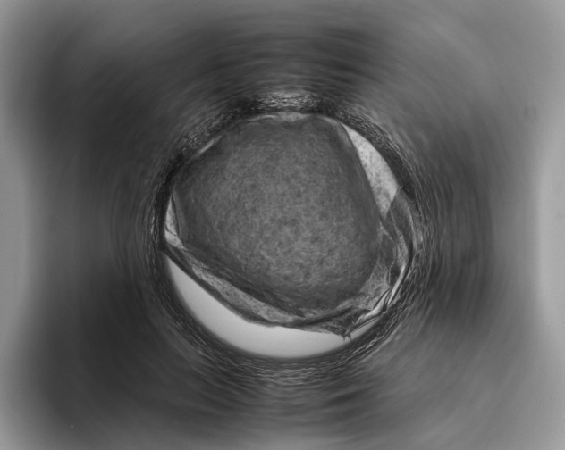 X0000095940647200802011042