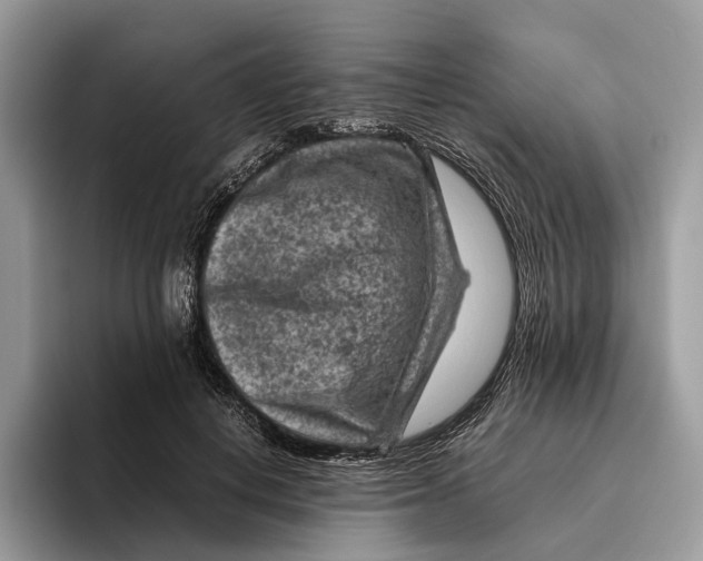 X0000095940648200802011042