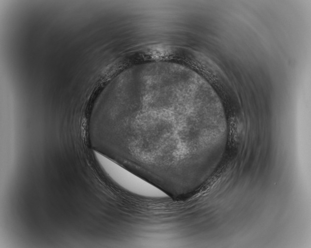 X0000095940650200802011042