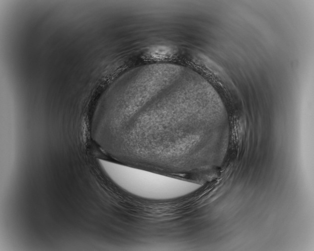 X0000095940651200802011042