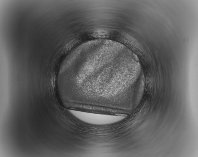 X0000095940652200802011042